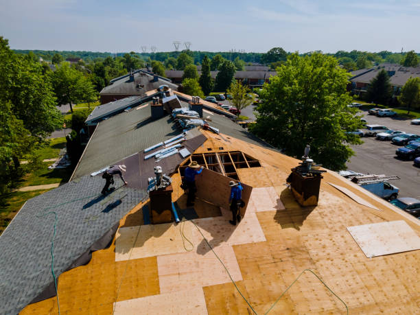 24/7 Emergency Flat Roof Repair experts in Holly Bluff, MS
